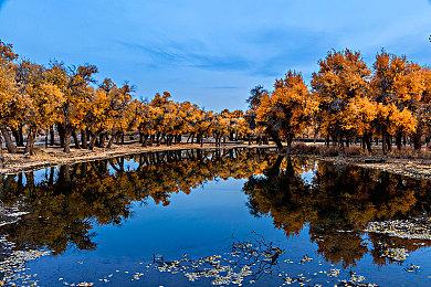 《极限竞速：地平线4》宣布将下架 玩家人数创历史新高